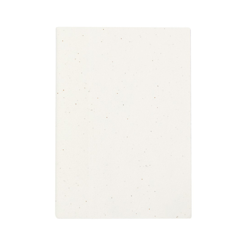 Libreta Semillas